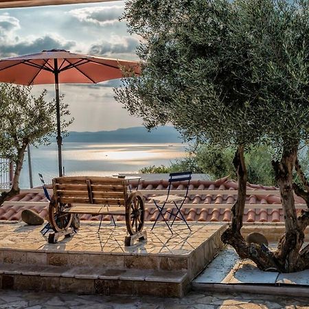 Villa Needa'S - Emotions House Crystal Pool Μικρά Μαντίνια Εξωτερικό φωτογραφία